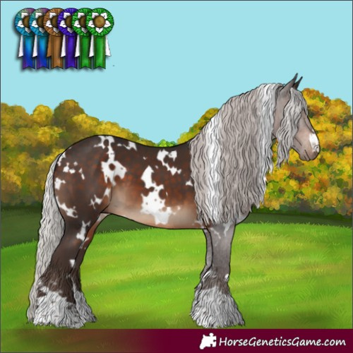 Horse Color:White Spotted Silver Brown 