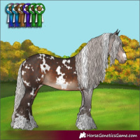 Horse Color:White Spotted Silver Brown
