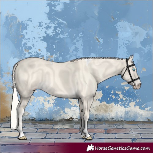 Horse Color:Cremello Dun Tobiano 