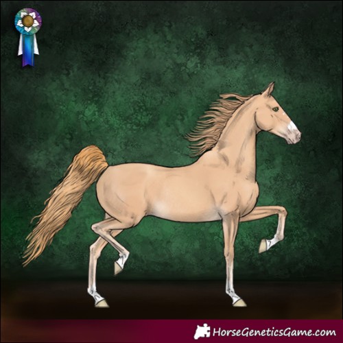 Horse Color:Gold Champagne Rabicano 