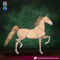 Horse Color:Gold Champagne Rabicano