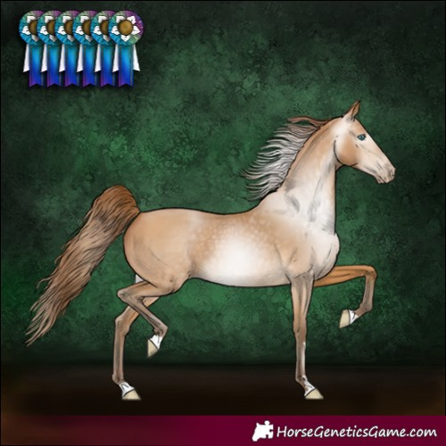 Horse Color:Gray Buckskin Pearl 