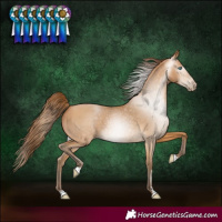 Horse Color:Gray Buckskin Pearl