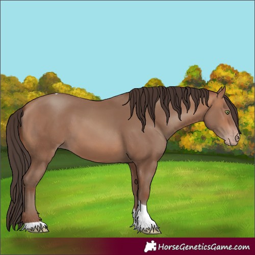 Horse Color:Sable Champagne Tobiano Rabicano 