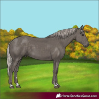 Horse Color:Silver Black 