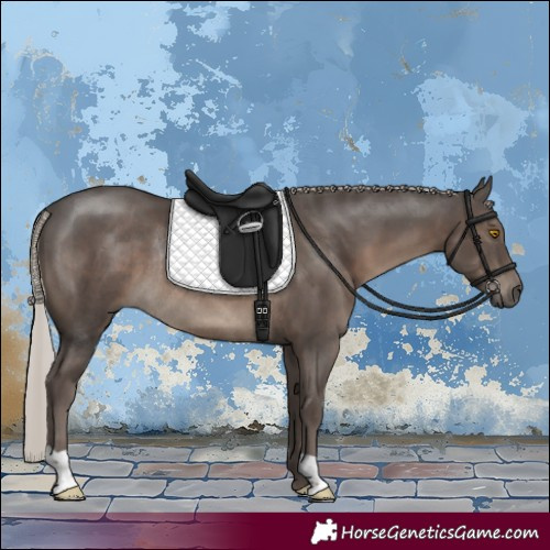 Horse Color:Silver Black Rabicano 