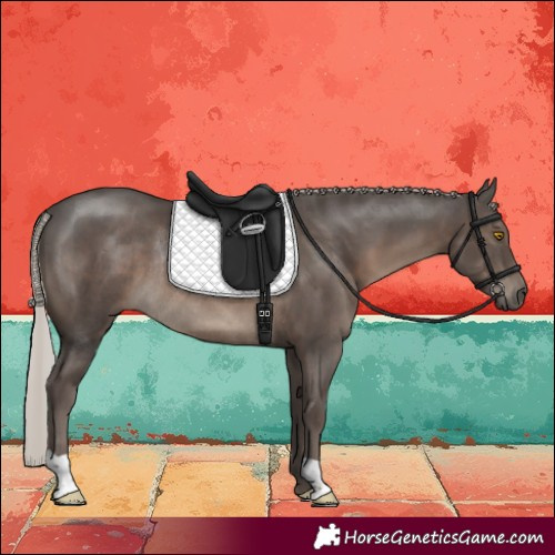Horse Color:Silver Black Rabicano 