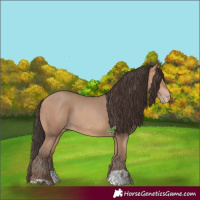 Horse Color:Amber Champagne Rabicano  and Amber Champagne Rabicano 