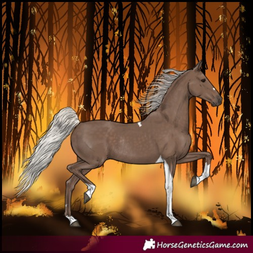 Horse Color:Silver Black Tobiano Rabicano 