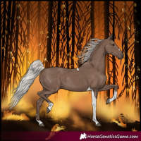 Horse Color:Silver Black Tobiano Rabicano