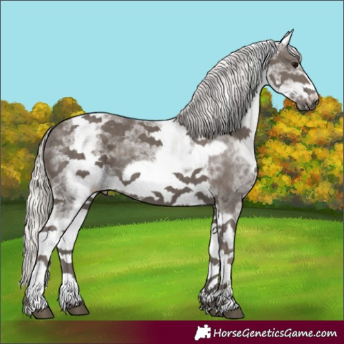 Horse Color:White Spotted Silver Black Tobiano Frame 