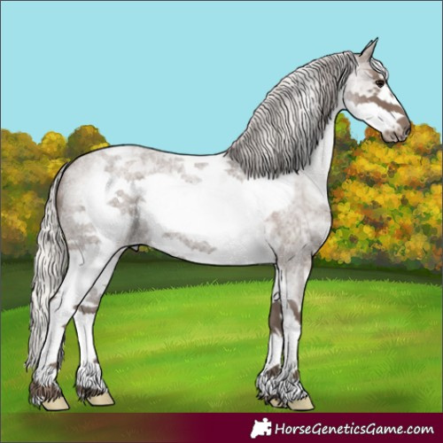 Horse Color:White Spotted Silver Blue Roan Frame 