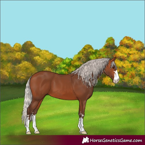 Horse Color:Silver Brown 