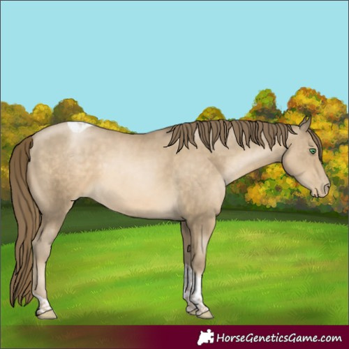 Horse Color:Smoky Black Pearl Tobiano 