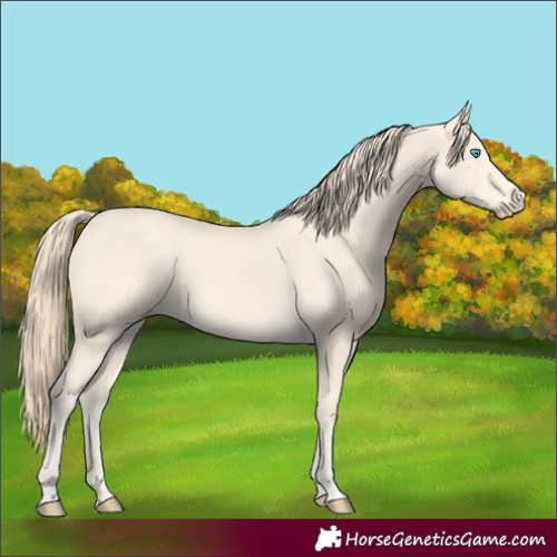 Horse Color:Perlino 
