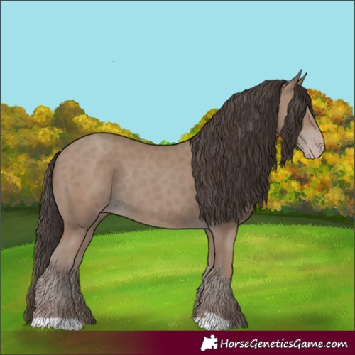Horse Color:Classic Champagne Rabicano