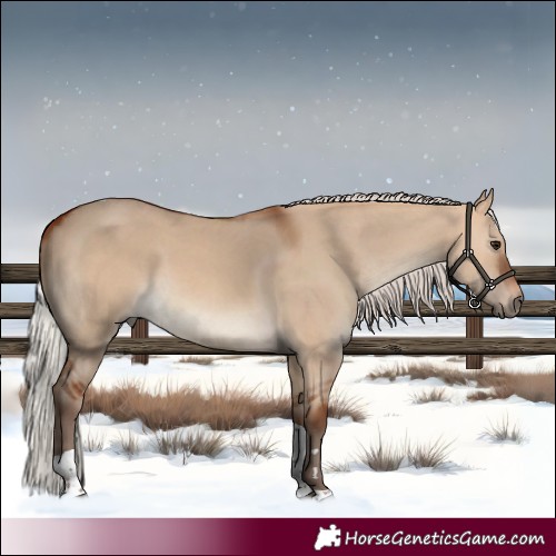 Horse Color:Silver Bay Dun Tobiano 