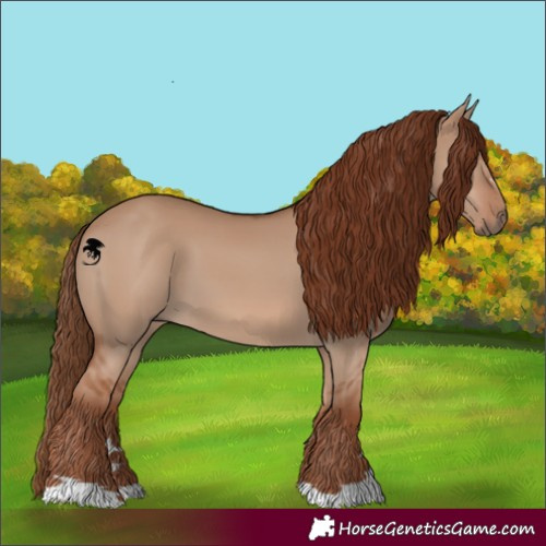 Horse Color:Red Dun 