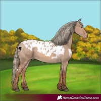 Horse Color:Red Dun Mushroom Skewed LP Spotted and Red Dun Mushroom Skewed LP Spotted