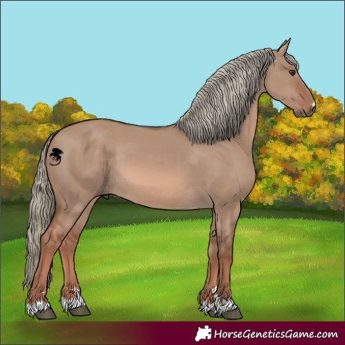 Horse Color:Red Dun Mushroom 