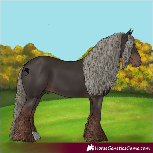 Horse Color:Liver Chestnut Mushroom 