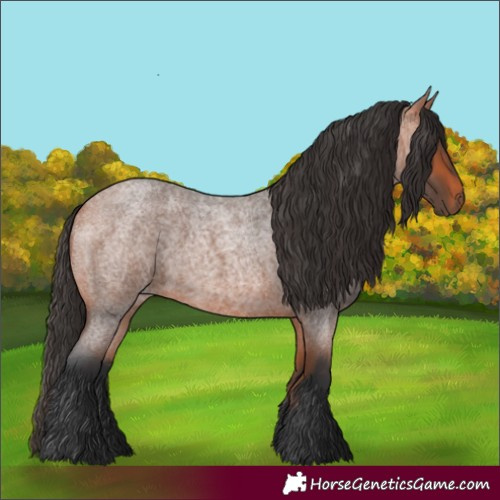 Horse Color:Bay Roan 