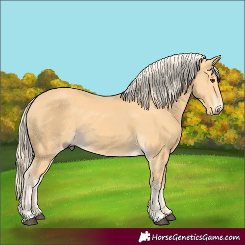 Horse Color:Unknown 