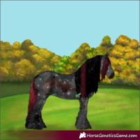 Horse Color:ERROR: UNKNOWN ANOMALY