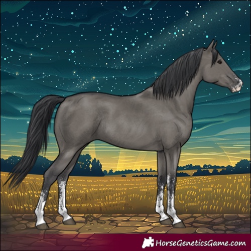 Horse Color:Grullo Sabino Rabicano