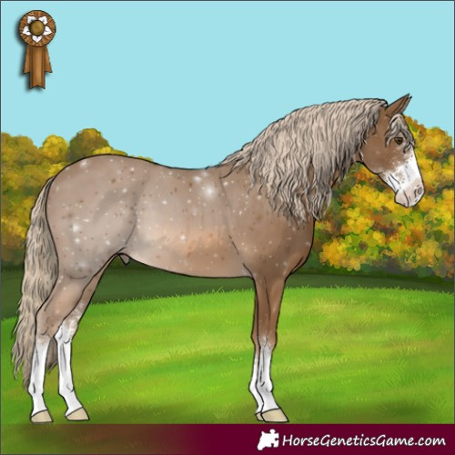 Horse Color:Chocolate Palomino Sabino 