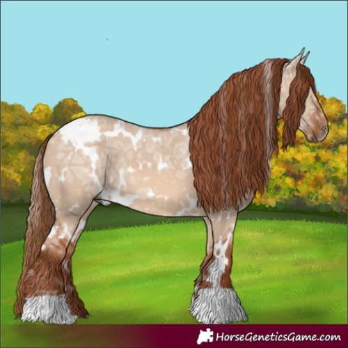 Horse Color:White Spotted Red Dun Ice 