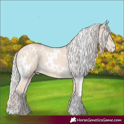 Horse Color:White Spotted Cremello Dun 