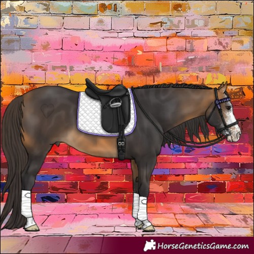 Horse Color:Buckskin Sabino 