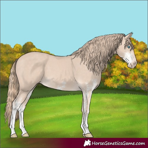 Horse Color:Perlino Sabino
