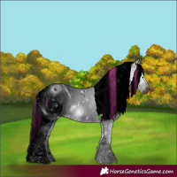 Horse Color:ERROR: UNKNOWN ANOMALY