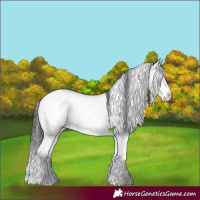 Horse Color:Blue Onyx Ice Mushroom Sabino Splash 