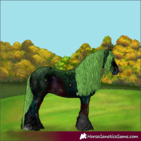 Horse Color:ERROR: UNKNOWN ANOMALY
