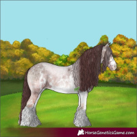 Horse Color:White Spotted Chocolate Blue Onyx Ice Sabino 