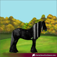Horse Color:ERROR: UNKNOWN ANOMALY