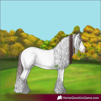 Horse Color:Chocolate Blue Onyx Ice Sabino Splash