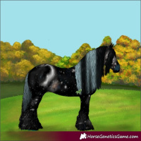 Horse Color:ERROR: UNKNOWN ANOMALY
