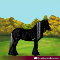 Horse Color:ERROR: UNKNOWN ANOMALY