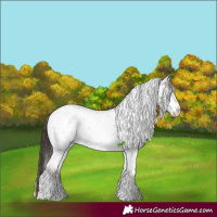 Horse Color:Bay Ice Onyx Sabino