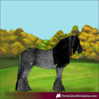 Horse Color:ERROR: UNKNOWN ANOMALY