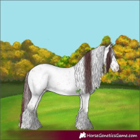Horse Color:Chocolate Bay Ice Onyx Mushroom Sabino 