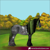 Horse Color:ERROR: UNKNOWN ANOMALY