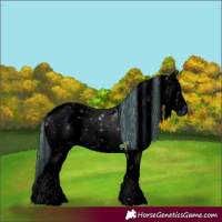 Horse Color:ERROR: UNKNOWN ANOMALY