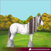 Horse Color:White Spotted Chocolate Blue Onyx Ice Sabino