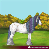 Horse Color:Painted White Spotted Grullo Ice Onyx Splash Tobiano Appaloosa 
