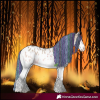 Horse Color:Painted White Spotted Grullo Ice Onyx Splash Tobiano Blanket